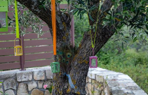 Jerma's House - Photo 46