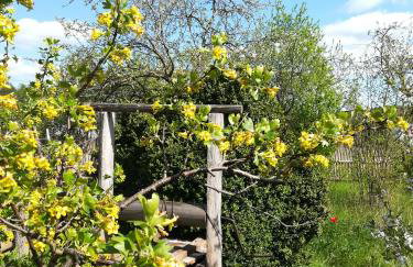 200 Years of History - Foto 26