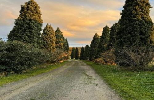 Idyllic Farmhouse in Gambassi Terme-fi With Swimming Pool - Foto 30