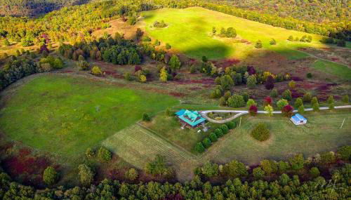 Lodge at OZK Ranch- Incredible mountaintop cabin with hot tub and views - Photo 3