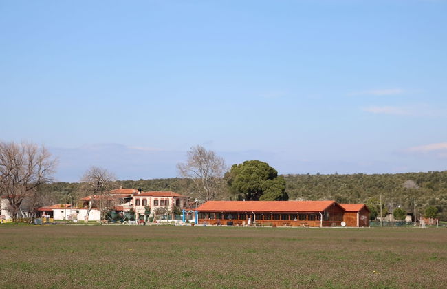 Ayvalık Sural Çiftliği Since 1899 - Foto 26