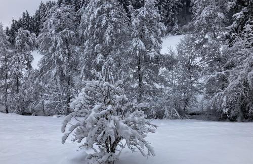 Ferienwohnung am Leinbach, nahe Freudenstadt - Photo 4