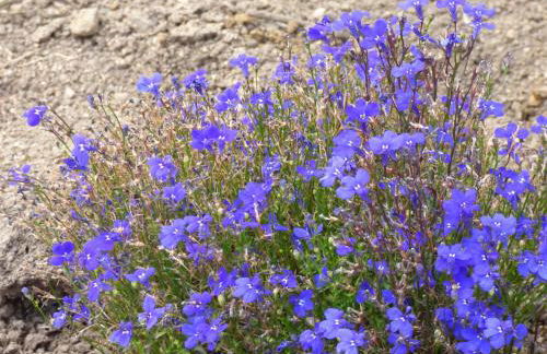 Agriturismo La Rocca Manna - Foto 45