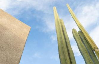 Desert Princess Villa Palm Springs area - Foto 14