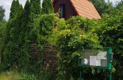 SOWA nad jeziorem Wojnówko gm Murowana Goślina - Foto 2