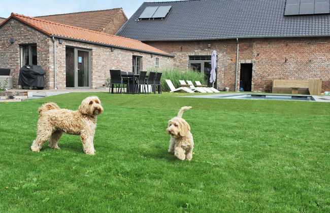 Vlaanderen Cozy Cottage - Foto 29