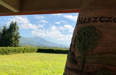 Stara Jabłoń dom w Bieszczadach - Photo 10