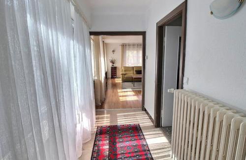 Appartement spacieux à Colmar avec terrasse, garage privatif, proche centre et gare - FR-1-722-2 - Foto 11