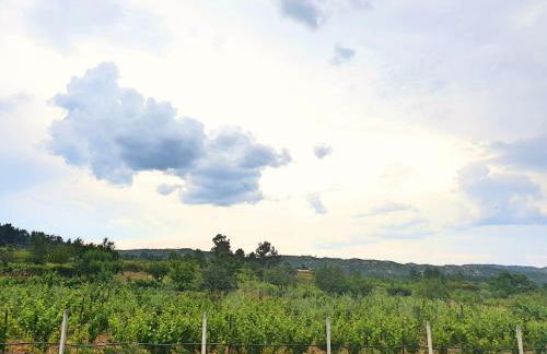 Casa das Hortênsias - Foto 48