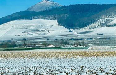 Gîte Spa La grange - Foto 23