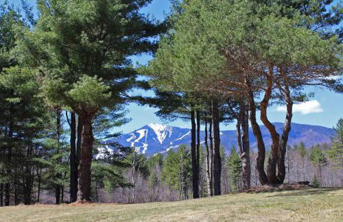 Esther Mountain Chalet - Foto 15