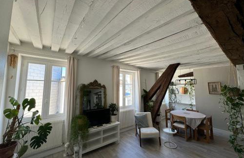 Appartement central - ORLEANS - Foto 1