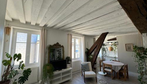 Appartement central - ORLEANS - Foto 1