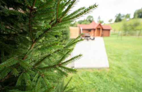 Całoroczne Domki "Stokrotka" - Foto 78