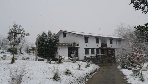 Balentziaga - Photo 2