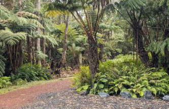 Hale Ho'okipa - Foto 47