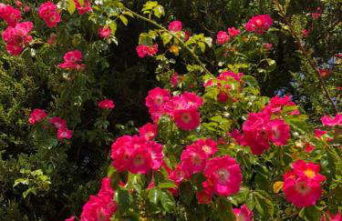 Little Gem with Private Hot Tub - Up to 25 percent off ferry - Foto 26