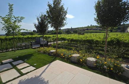 Agriturismo Igino - Relax fra i Vigneti della Valpolicella - Foto 15