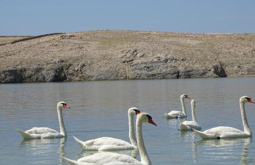 Apartments Šime - Foto 27