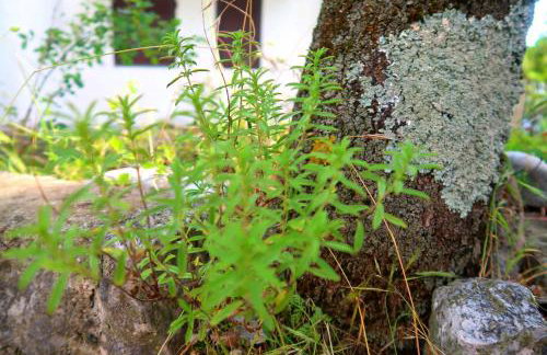 Apartments Sunset Jadranovo - Photo 47