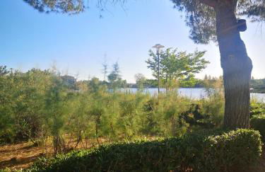 Magnifique T2 les pieds dans le sable - Photo 14