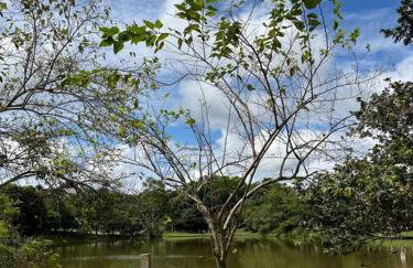 Casa com piscina em condomínio fechado - Foto 20