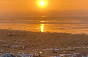 Villa Messanges (piscine & spa) - Photo 29