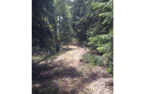 Jäschner Villa Luftig - Foto 31