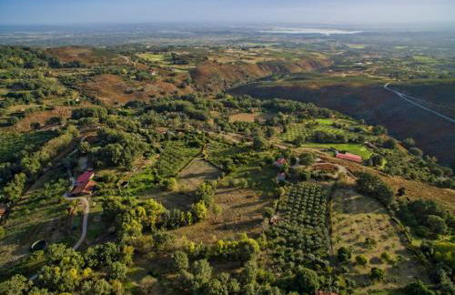 Abejas 2 de El Vergel de Chilla - Photo 31