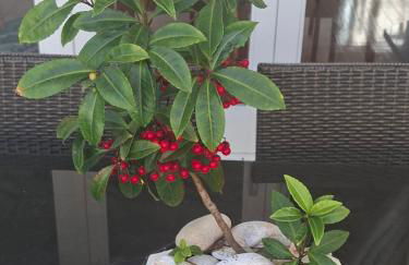 Lá Luciolla Loft Cabana - Foto 12