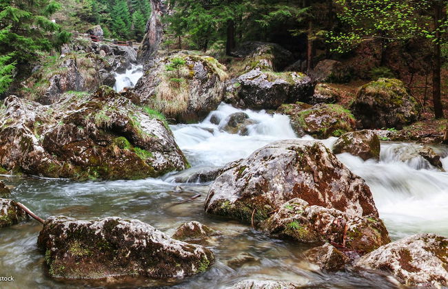 Mucha Apartments - Photo 21