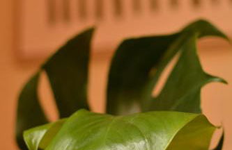 Mas Salvador Rural Experience - Photo 77