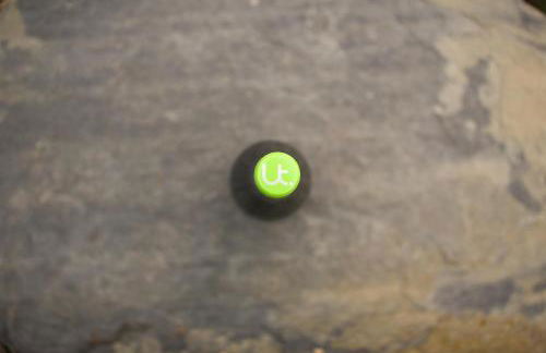 Ferienweingut Ulrike Thul - Foto 10