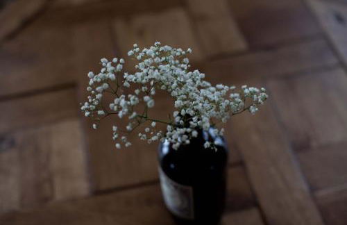 Tede Warft Freistehend am Deich mit Sauna - Foto 8