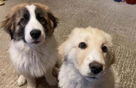 Super Cozy Holiday Apartment - Photo 20