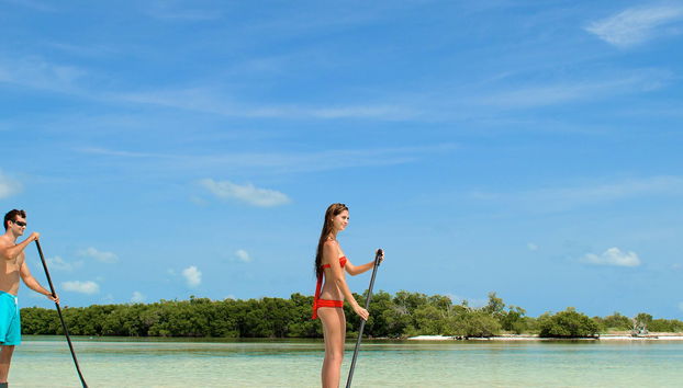 Kayak et paddle à Key West + Snorkeling