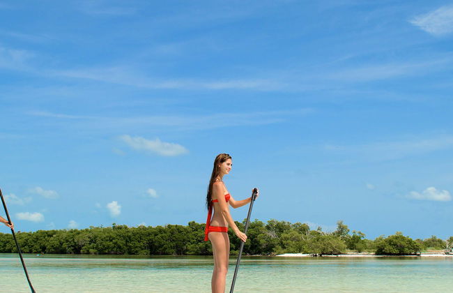 Caiaque e paddle surf em Key West + Snorkel - Foto 4