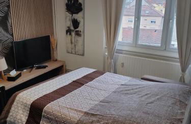 L'Europ'appart - Cosy - Gare - Center parcs -St Croix - Foto 13