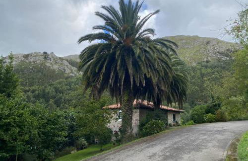 La Casina de Lastres 2 - Foto 2