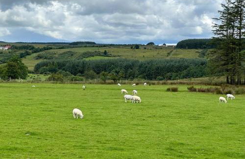 The little pod - Forest view - Foto 3