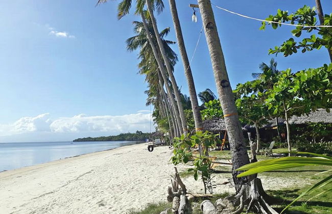 The Bruce Resort - Foto 50