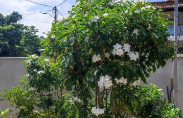 Casa Aconchegante - Foto 13