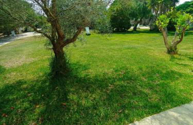 Masseria Tenuta I Quattro Venti - Foto 14