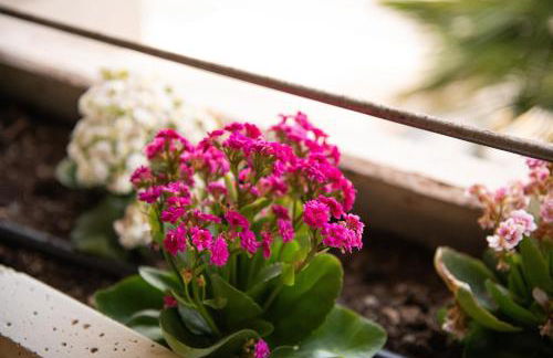 Casa Paola - Foto 24