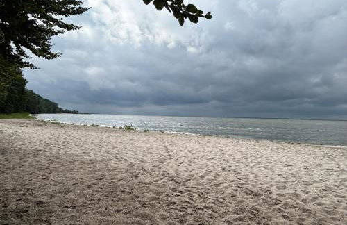 Frisch Saniert Ferienhaus Achterland - Strand, Sauna, Kamin, WLAN und ein großer Garten - Foto 28