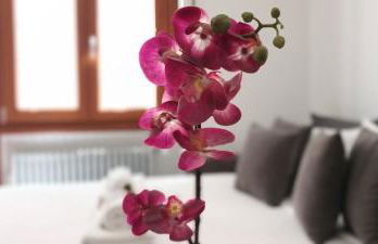 Leila Stazione Tiburtina 10 minuti dal Coloseo - Foto 37