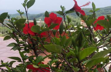 Spyridonou House - Foto 77