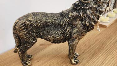 Le Terrier- Chaleureux avec Jardin privatif et parking pour 2 voitures - Foto 4