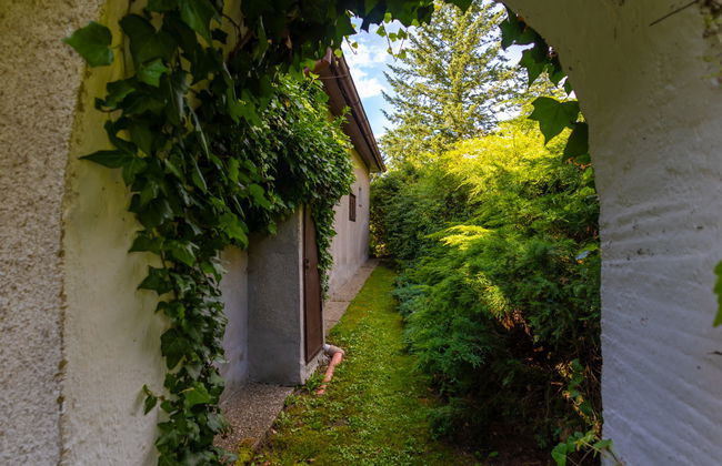 Jestřebice 8 - Foto 34