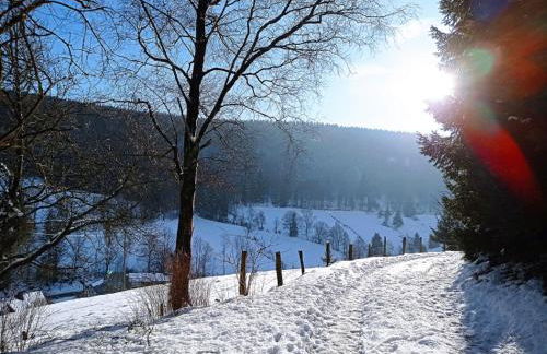 Haus Wald-Eck - Foto 37